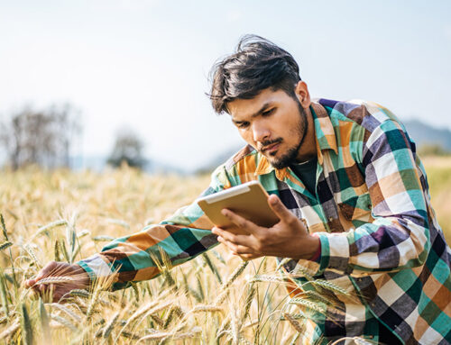 SAP Solutions Implemented For Agriculture Industry